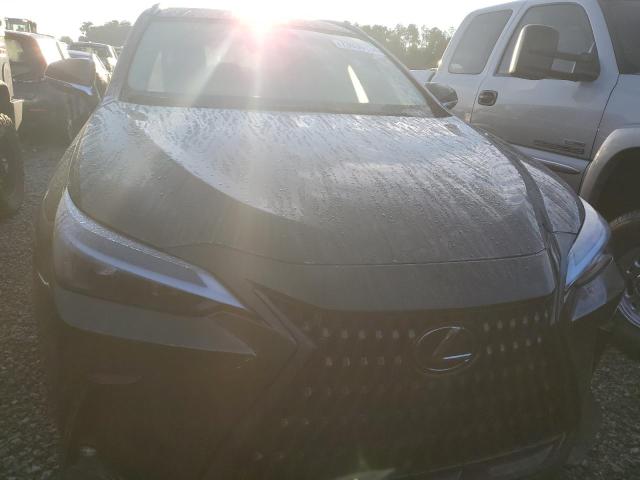 2022 LEXUS NX 250 2T2ADCAZ4NC002446