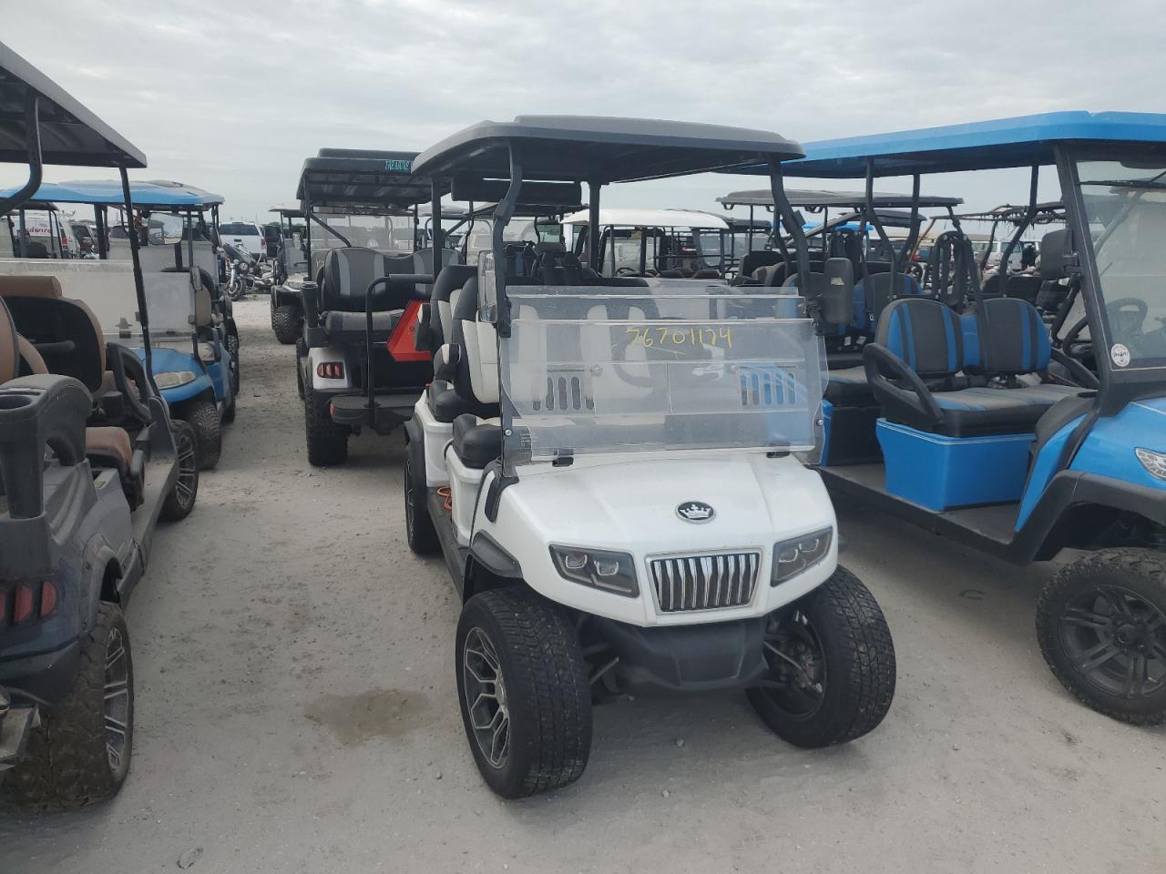 Lot #3037162557 2023 HDKP GOLF CART