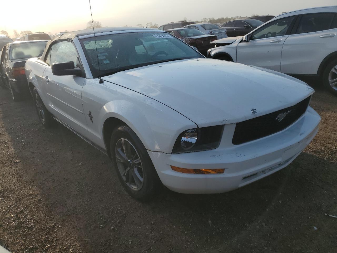 Lot #2962700068 2007 FORD MUSTANG