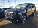 2024 CADILLAC ESCALADE P - 1GYS4BKL9RR232325