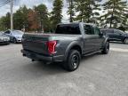 FORD F150 RAPTO photo