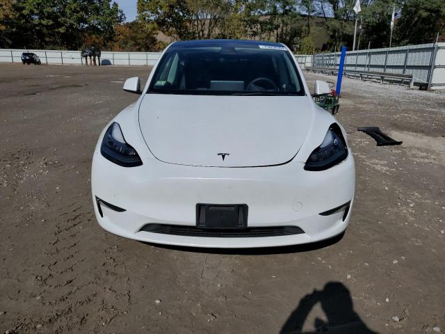 2023 TESLA MODEL Y - 7SAYGDEE6PA077249