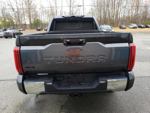 2023 TOYOTA TUNDRA DOU - 5TFLA5DA9PX111710