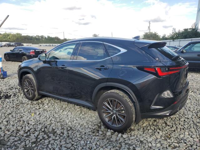 LEXUS NX 350 PRE 2024 black  gas 2T2GGCEZ7RC051142 photo #3