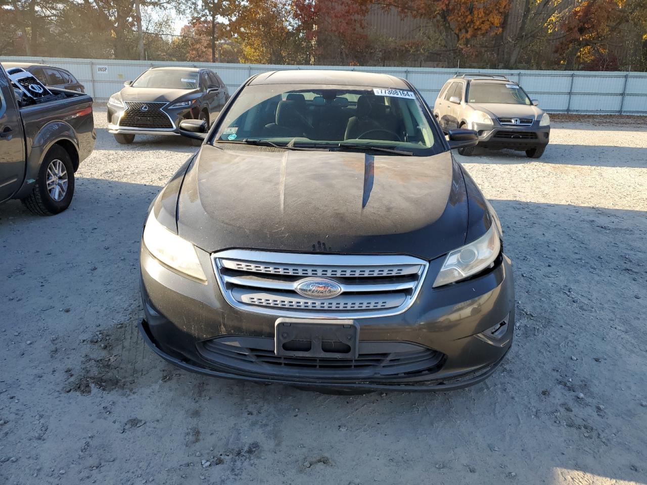 Lot #2925488419 2010 FORD TAURUS SEL