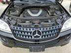 MERCEDES-BENZ ML 350 photo