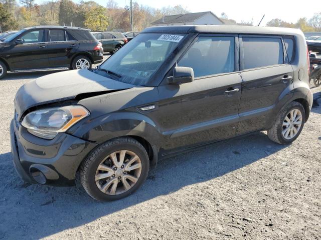 Global Auto Auctions: 2013 KIA SOUL