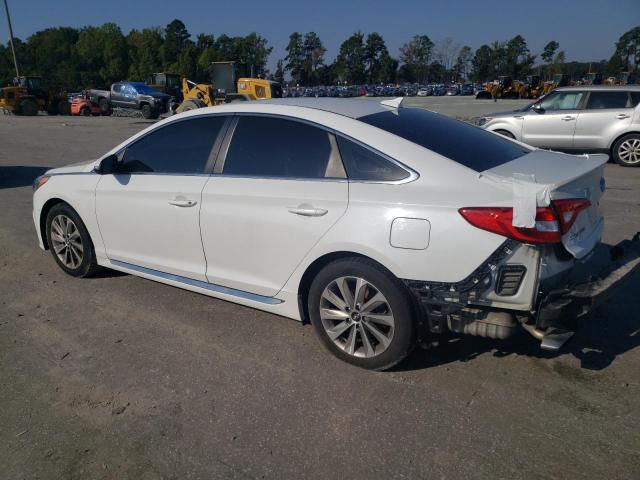 2016 HYUNDAI SONATA SPO - 5NPE34AF1GH401397