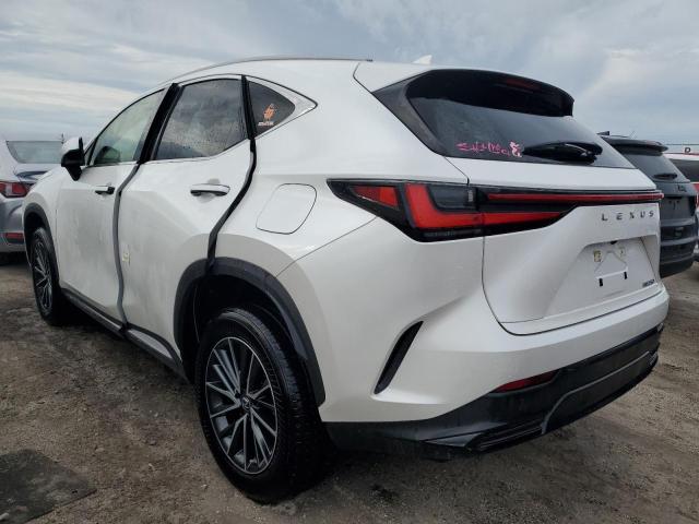 LEXUS NX 250 2022 white  gas JTJADCAZ1N5001141 photo #3