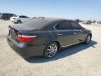 LEXUS LS 460 photo