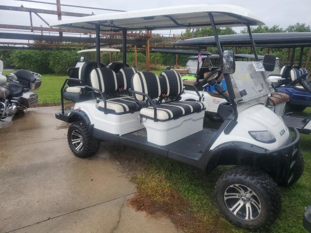 ICON GOLF CART 2020 white   FLA110839 photo #1