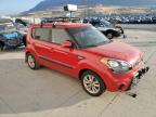 KIA SOUL photo