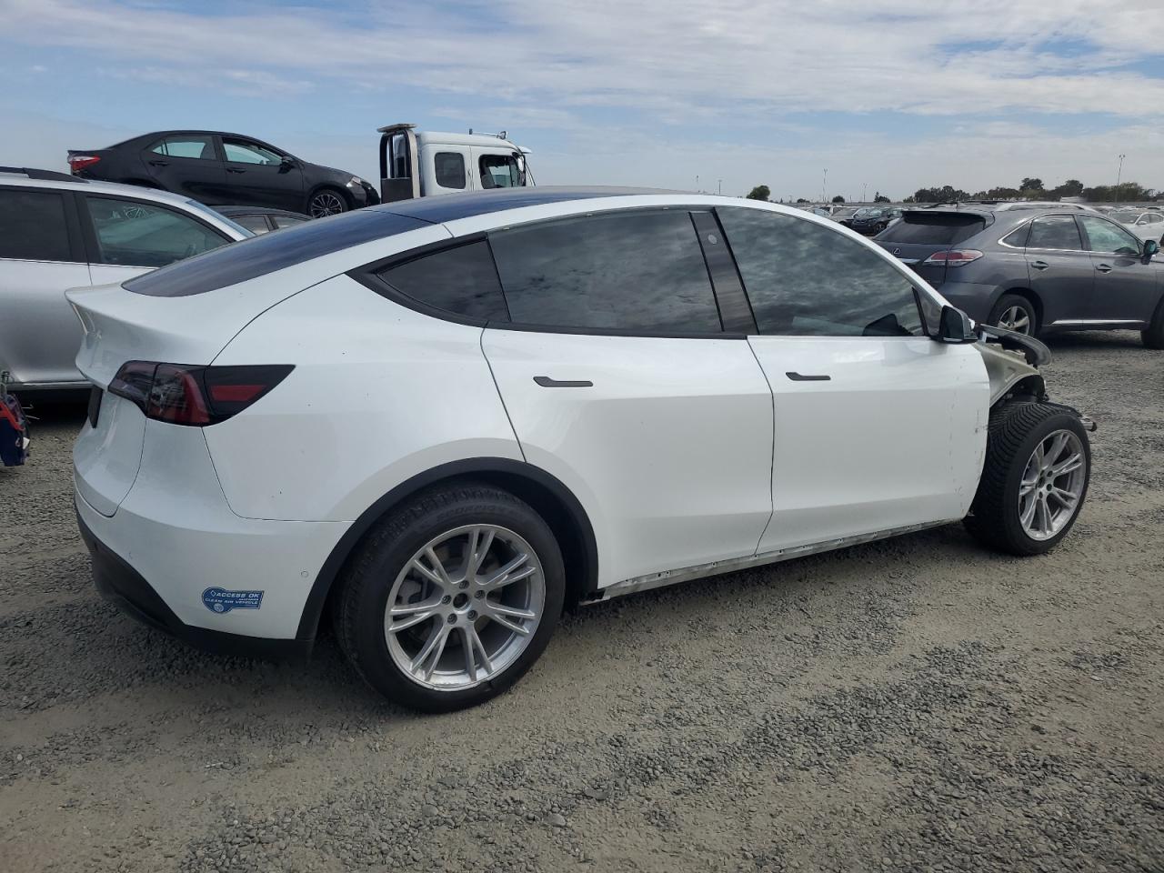 Lot #3030385481 2021 TESLA MODEL Y