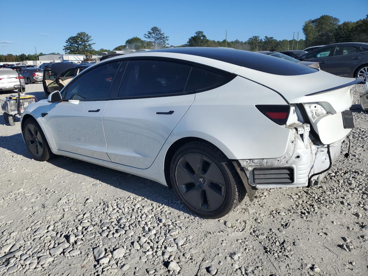 Lot #3022813323 2021 TESLA MODEL 3