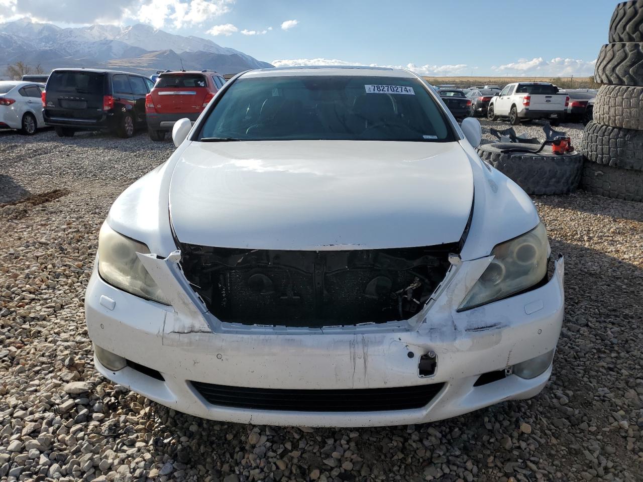 Lot #2960414115 2010 LEXUS LS 460