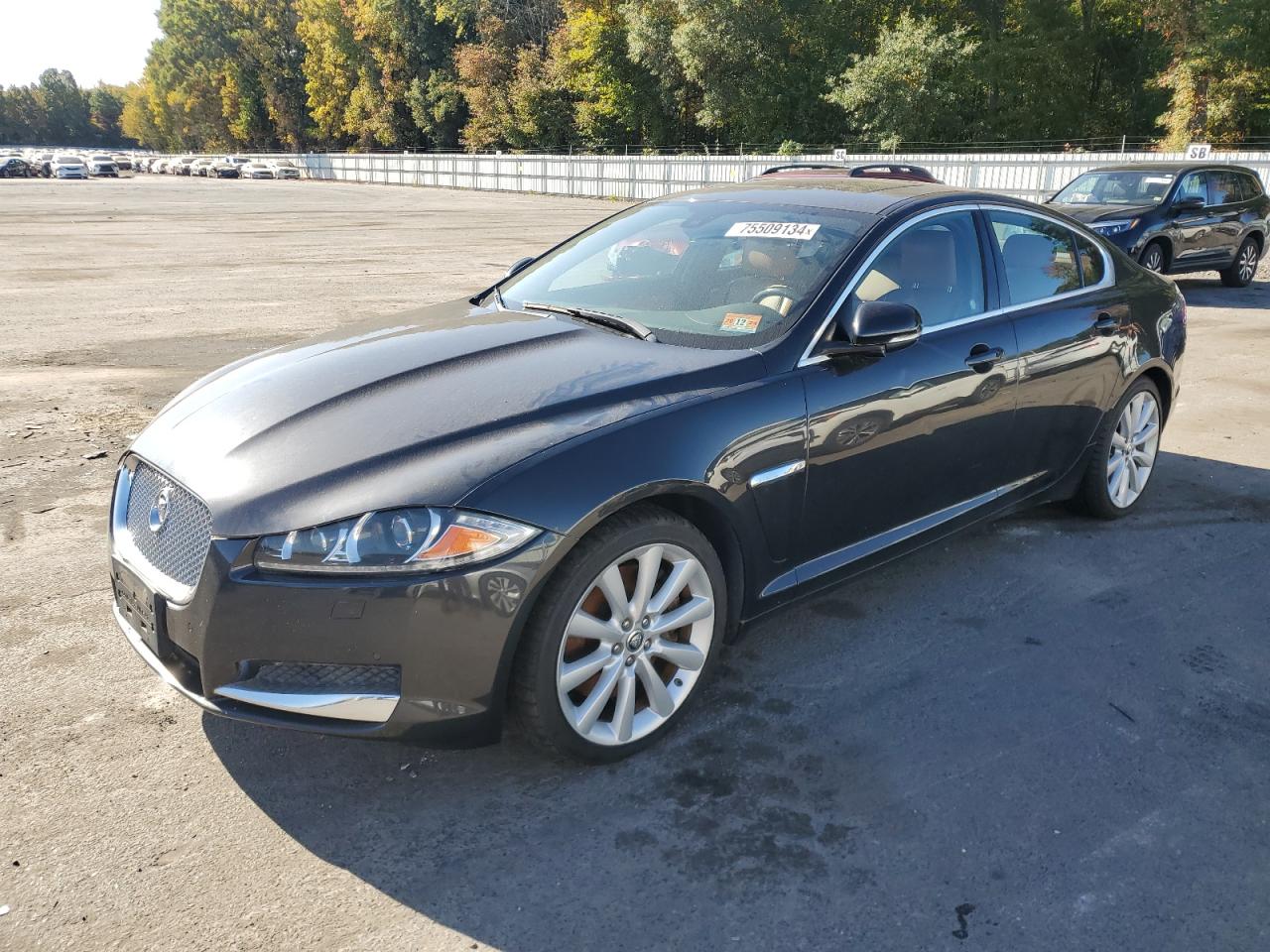 Jaguar XF 2013 XF