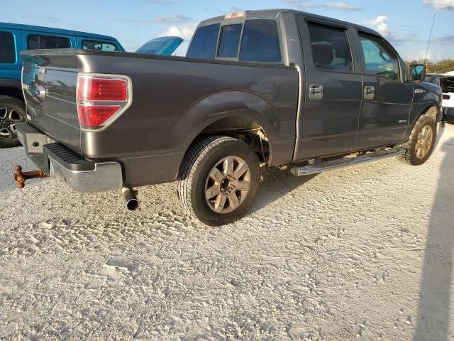 VIN 1FTFW1CT7DFD23503 2013 FORD F-150 no.3