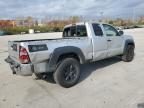 TOYOTA TACOMA ACC photo