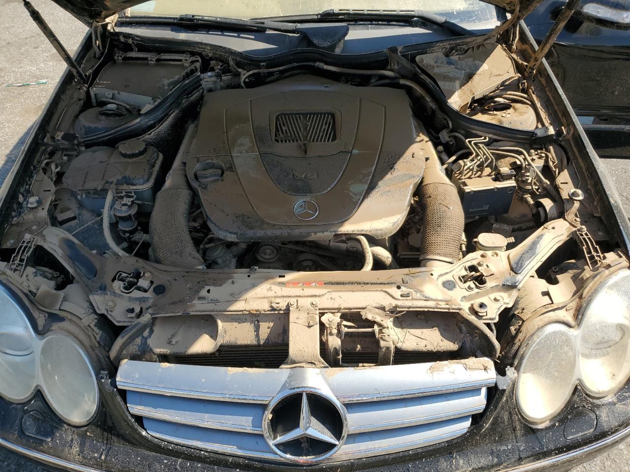 Lot #2952590201 2008 MERCEDES-BENZ CLK 350