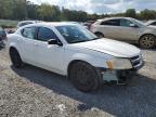 Lot #3024507348 2013 DODGE AVENGER SE