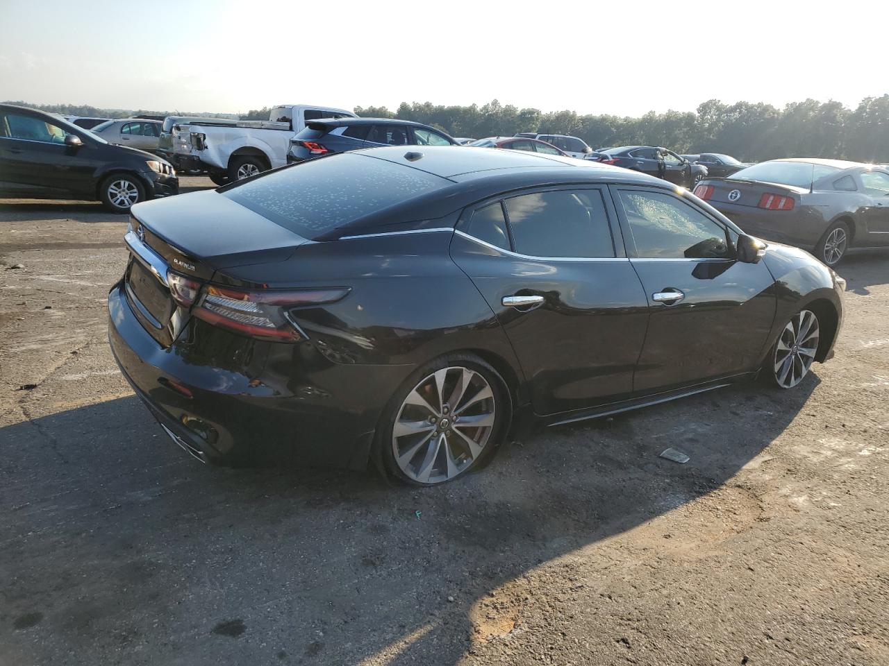 Lot #3025977951 2019 NISSAN MAXIMA S