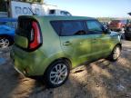 KIA SOUL + photo