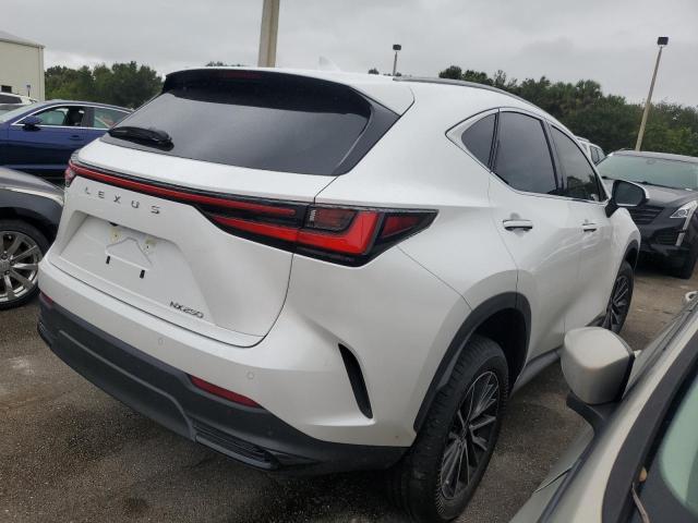 LEXUS NX 250 PRE 2025 white  gas JTJGDCAZ1S5023856 photo #4