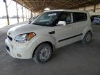 KIA SOUL + photo