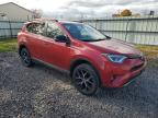 TOYOTA RAV4 SE photo