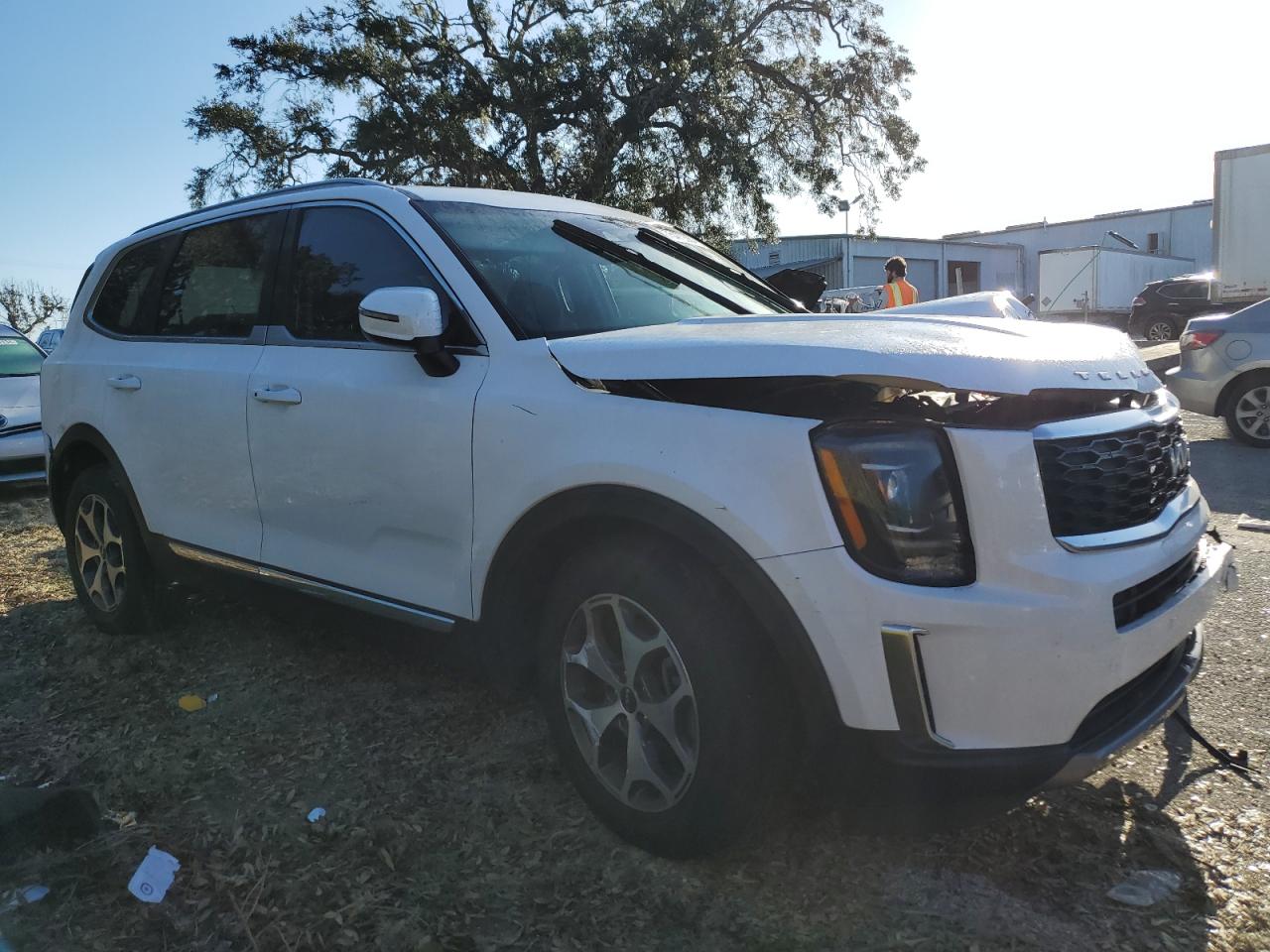 Lot #2986712352 2022 KIA TELLURIDE