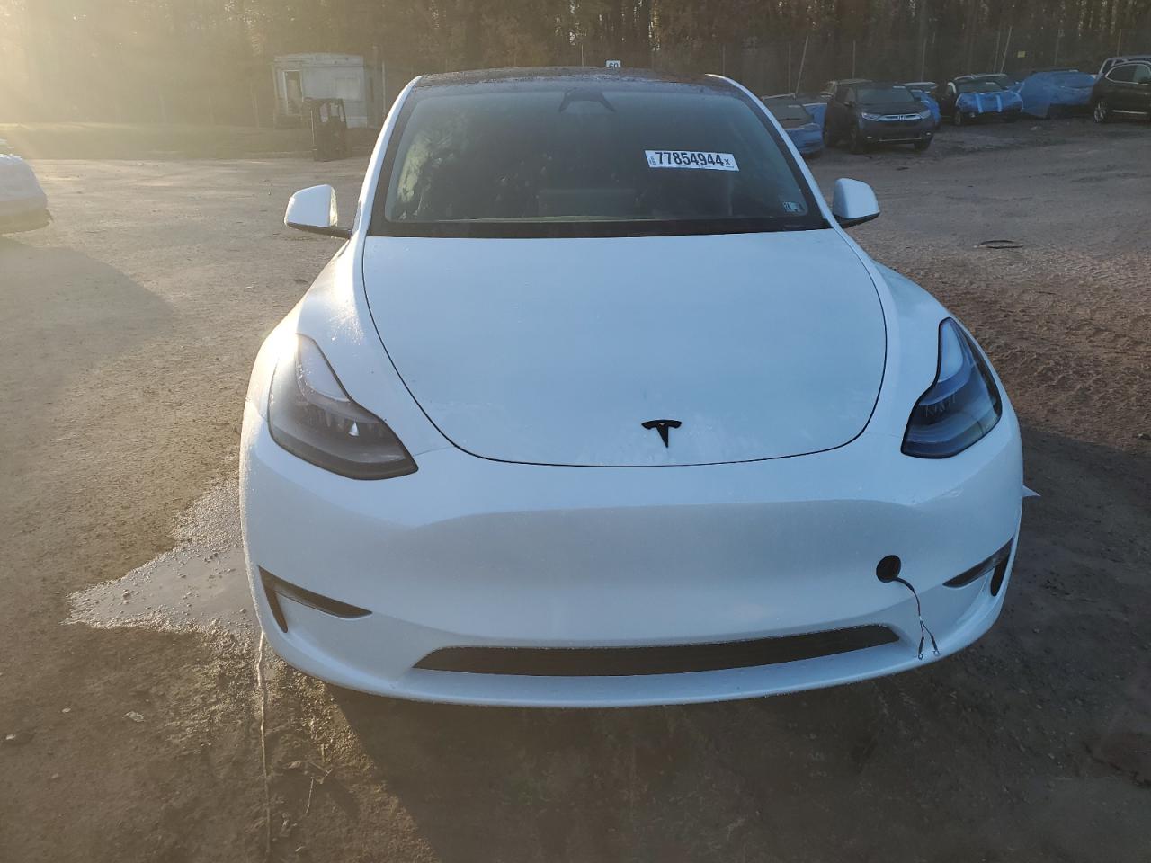 Lot #2986998782 2024 TESLA MODEL Y