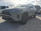 TOYOTA RAV4 XLE photo