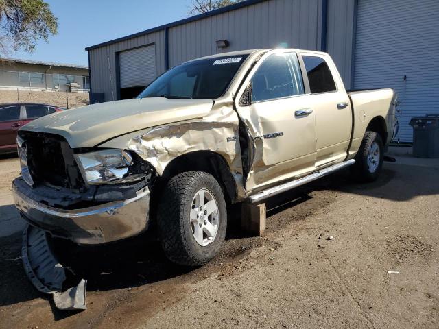 DODGE RAM 1500 2011 gold  gas 1D7RV1CT3BS634100 photo #1