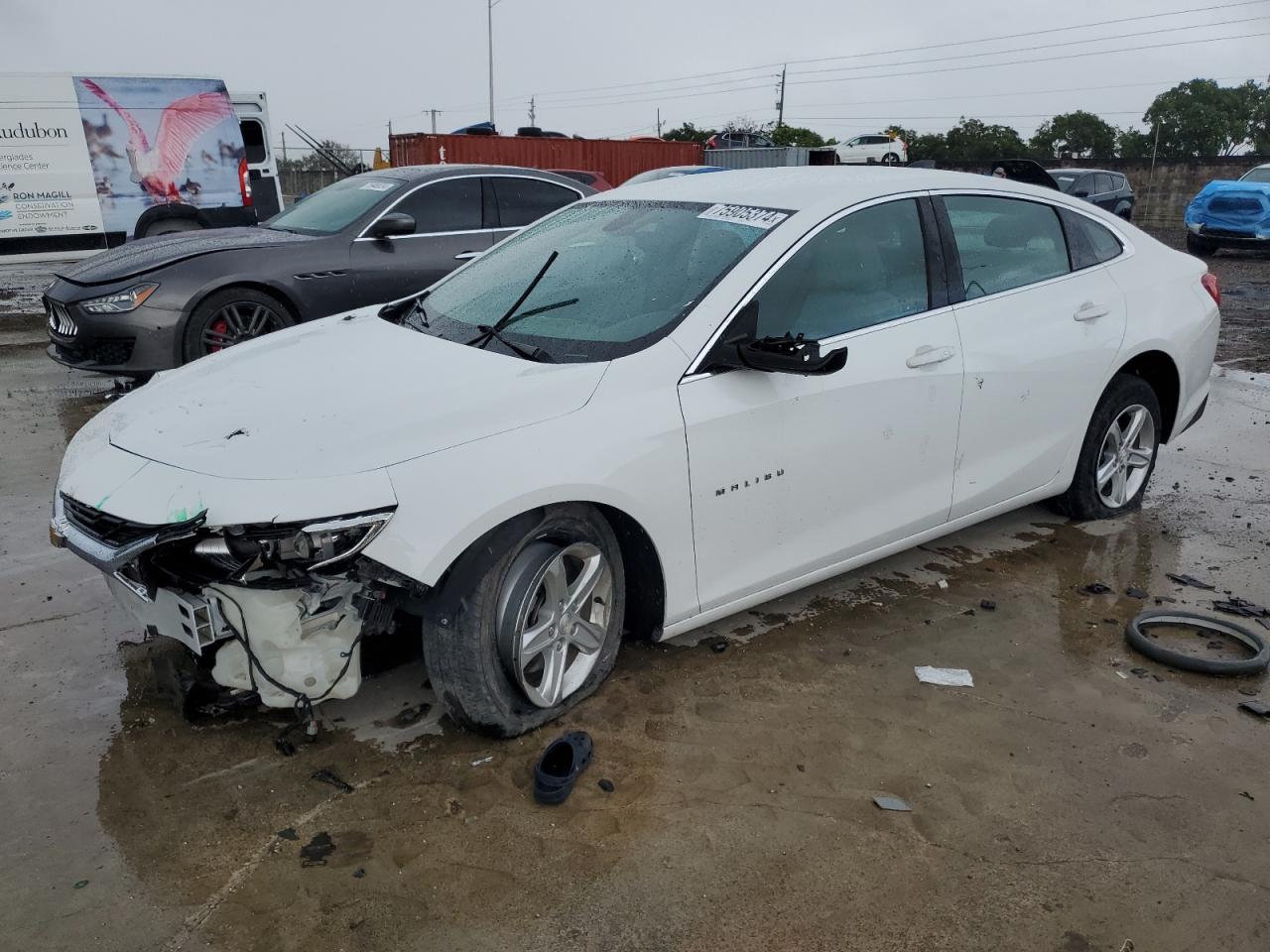 Lot #2991722085 2019 CHEVROLET MALIBU LS