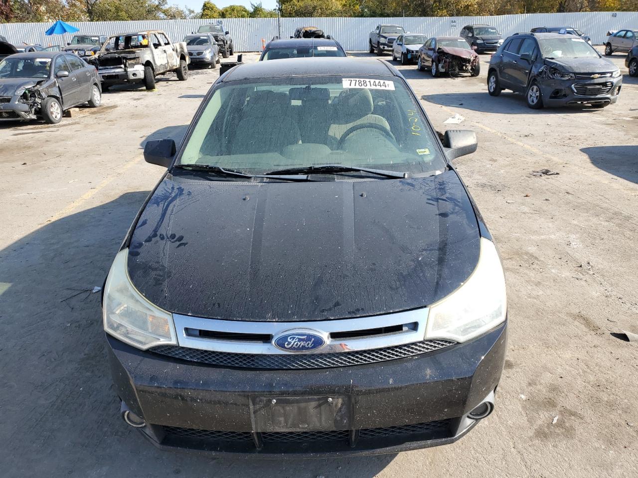 Lot #3024150822 2011 FORD FOCUS SE