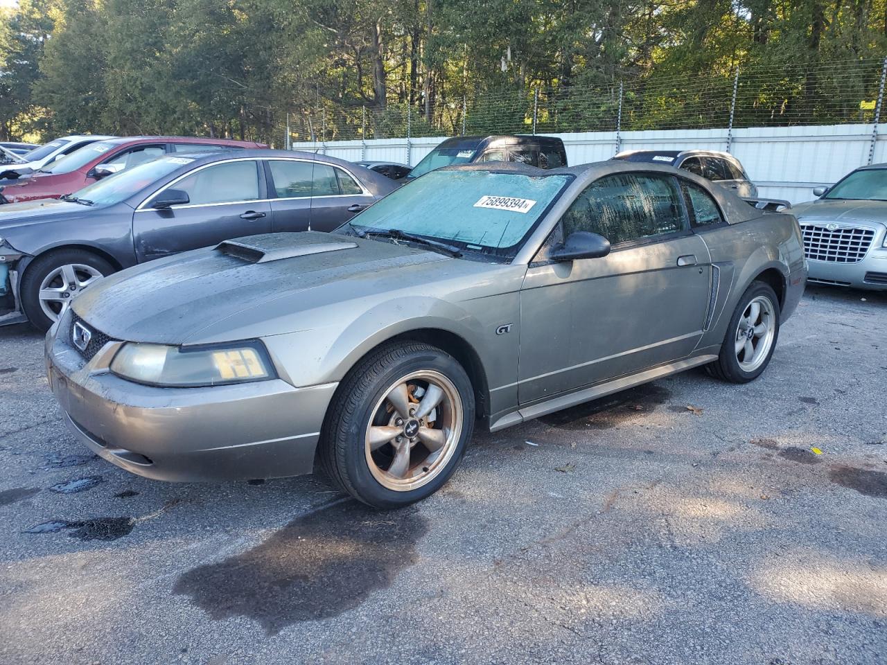 Ford Mustang 2002 GT