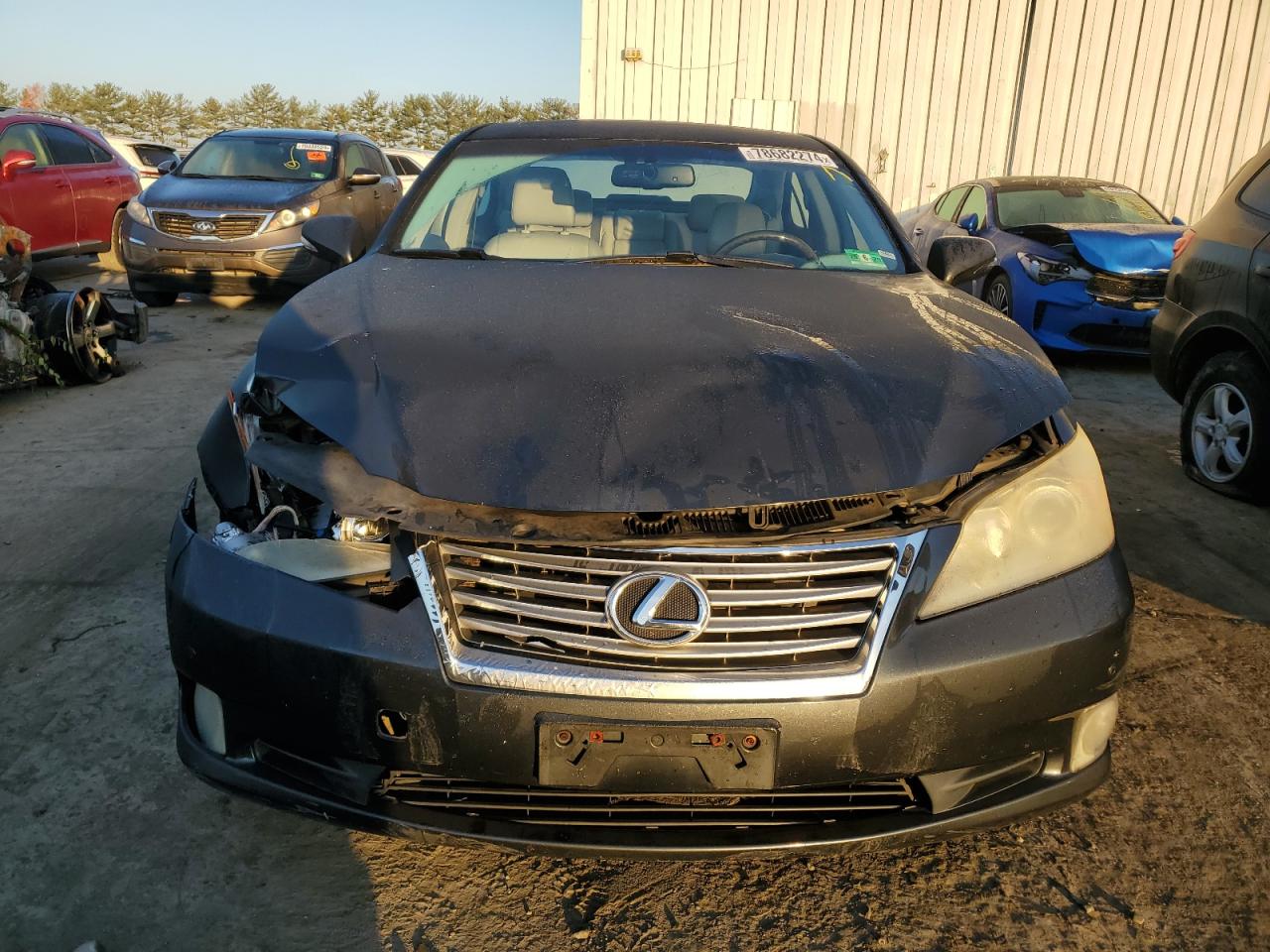 Lot #2962573798 2010 LEXUS ES 350