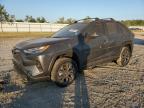 Lot #3024516400 2024 TOYOTA RAV4 LIMIT