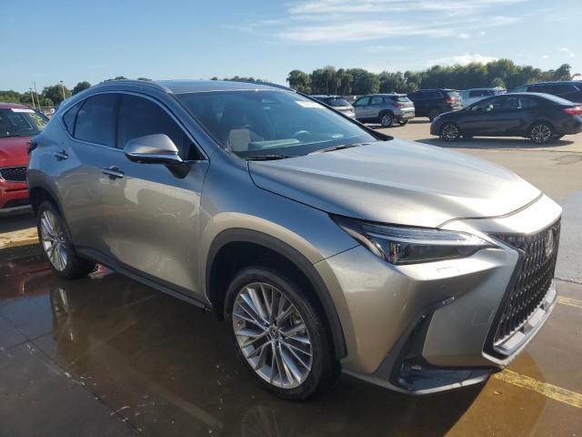 2023 LEXUS NX 350 2T2HGCEZ8PC020712