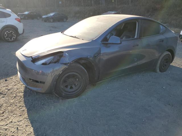 2023 TESLA MODEL Y #3036942726