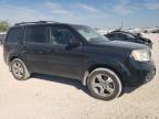 Lot #3024636578 2013 HONDA PILOT EXLN