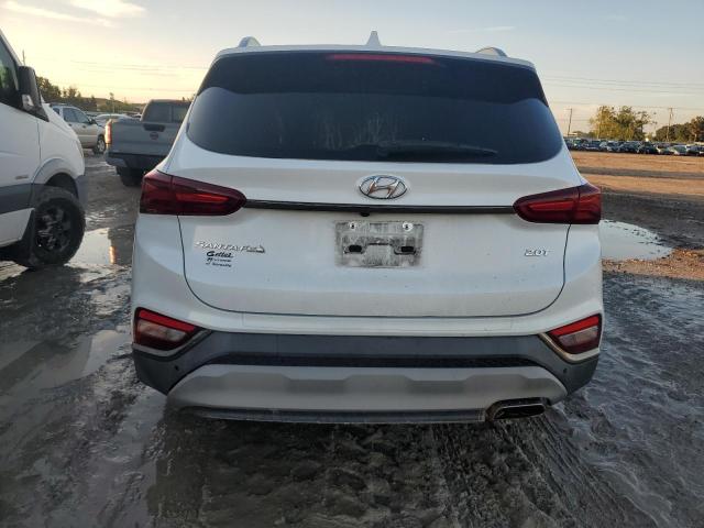 2020 HYUNDAI SANTA FE L - 5NMS53AA9LH165973