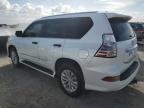 LEXUS GX 460 снимка