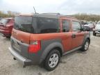 Lot #3024751200 2005 HONDA ELEMENT EX