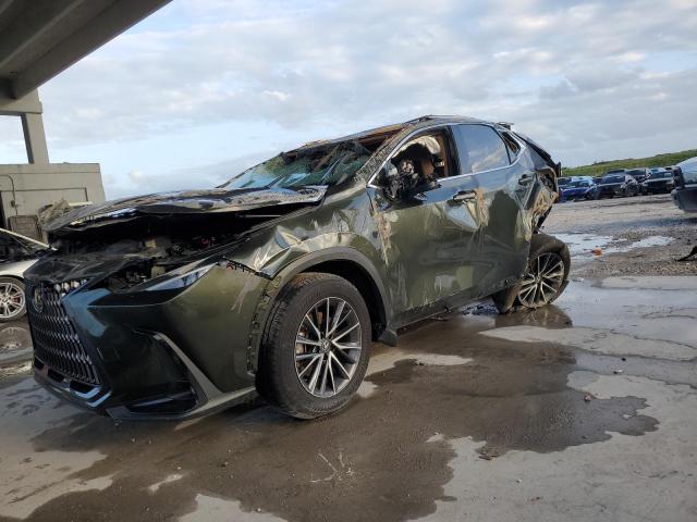 VIN 2T2ADCAZ7PC005036 2023 Lexus NX, 250 no.1