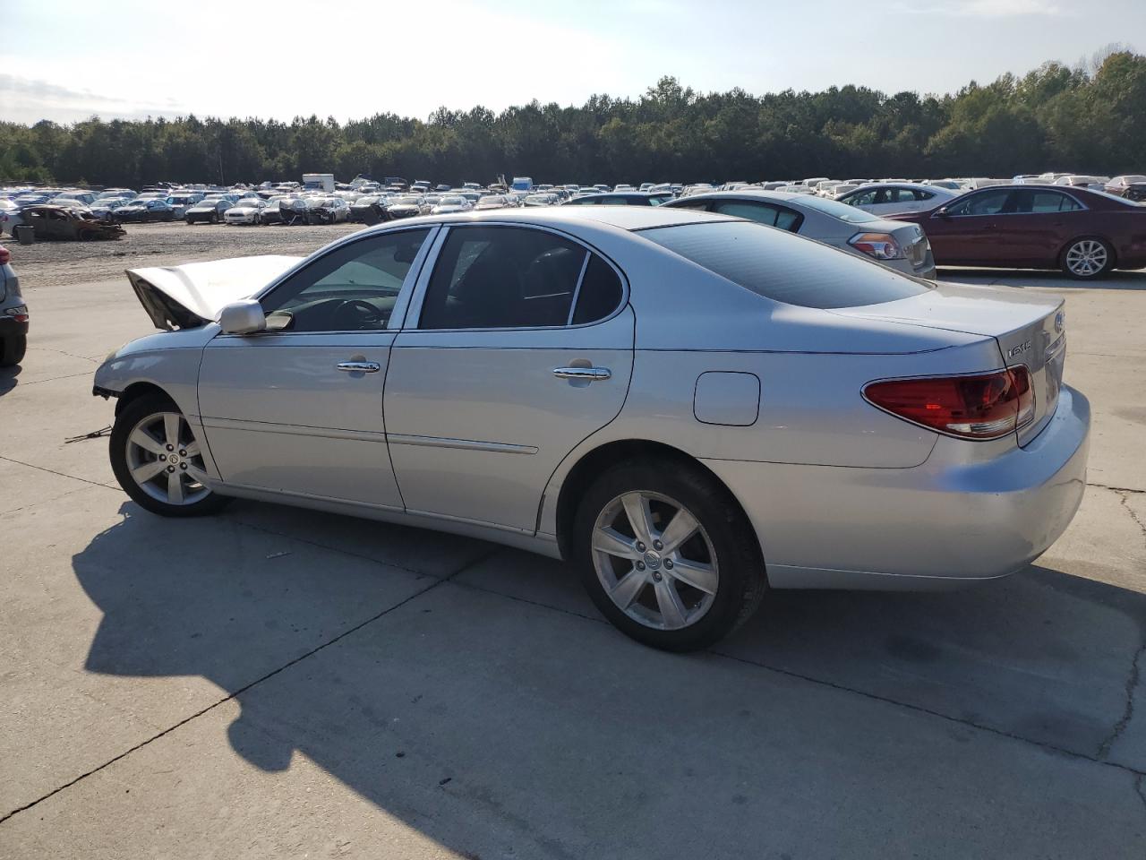 Lot #2926059724 2005 LEXUS ES 330