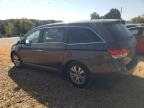 HONDA ODYSSEY EX снимка