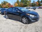 HYUNDAI ELANTRA SE photo