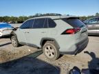 TOYOTA RAV4 XLE photo