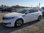 Lot #3024428536 2013 KIA OPTIMA HYB